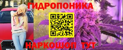 гидра Пушкино
