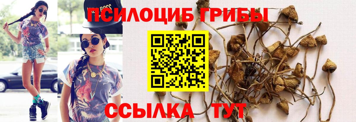 Псилоцибиновые грибы ЛСД Ростов Великий