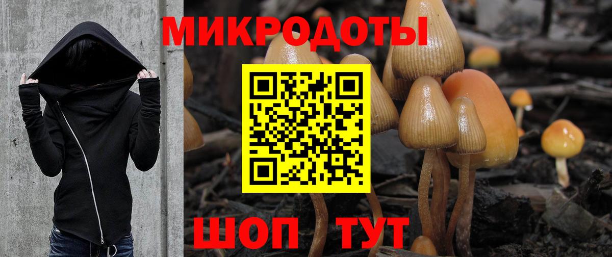 Галлюциногенные грибы Psilocybe  Галлюциногенные грибы Cubensis  Вход с VPN  Ростов Великий 